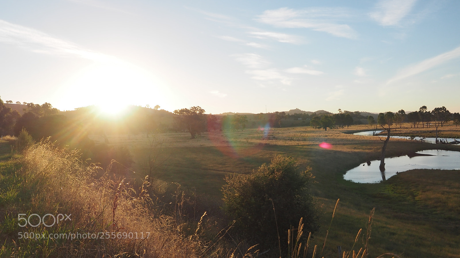 Olympus OM-D E-M1 sample photo. Billabong sunset photography