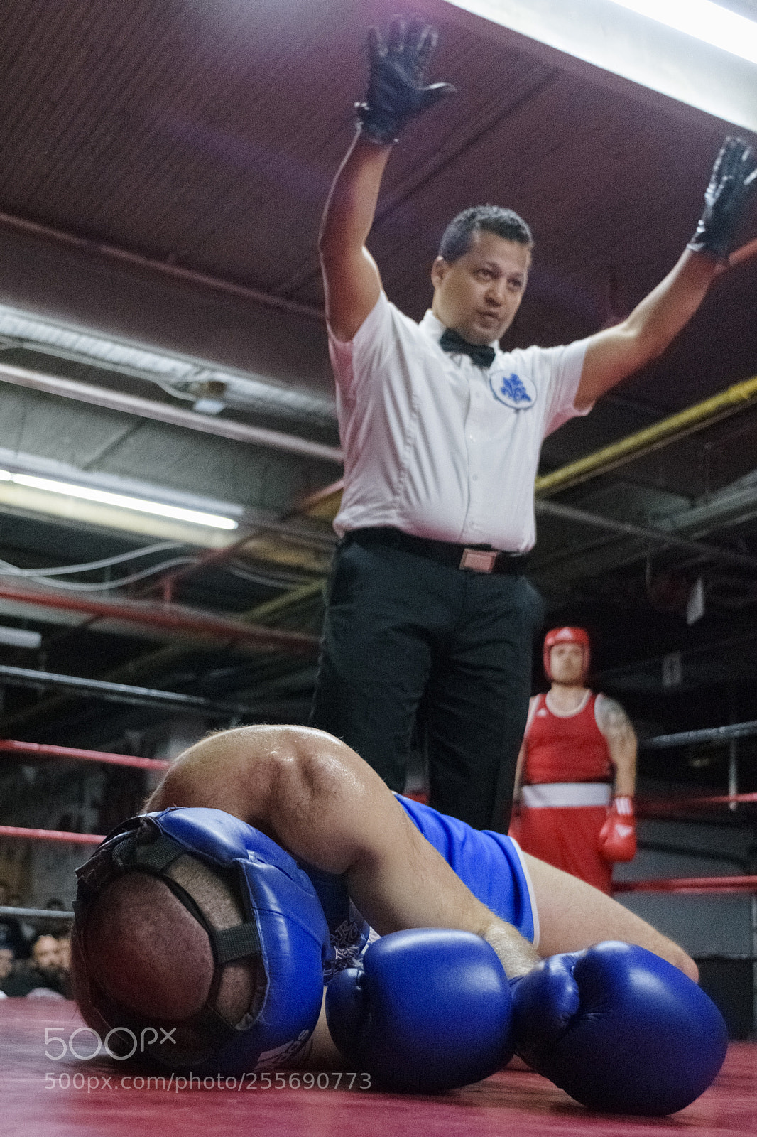 Nikon D7200 sample photo. Goliath photography