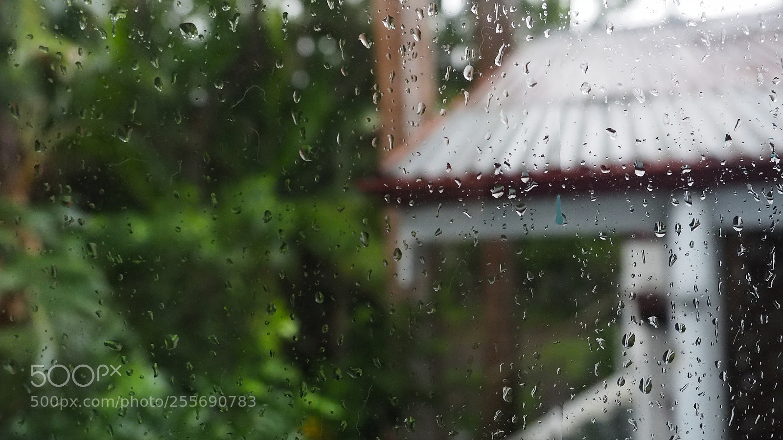 Olympus OM-D E-M1 sample photo. Wet window photography