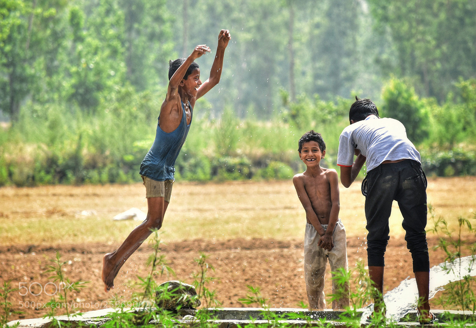 Nikon D5500 sample photo. Rural life photography