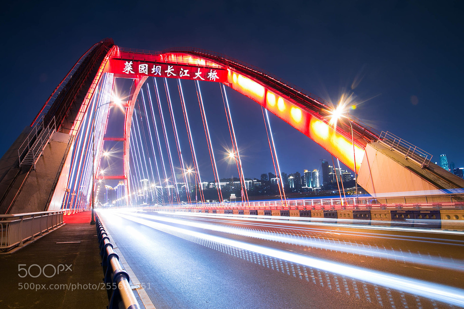 Canon EOS 6D sample photo. 菜园坝长江大桥 photography