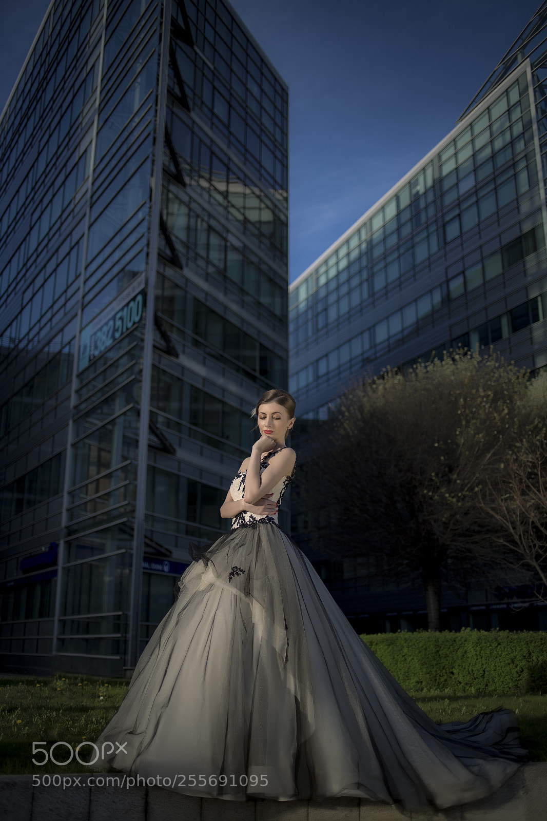 Canon EOS 6D sample photo. Wedding 5 photography