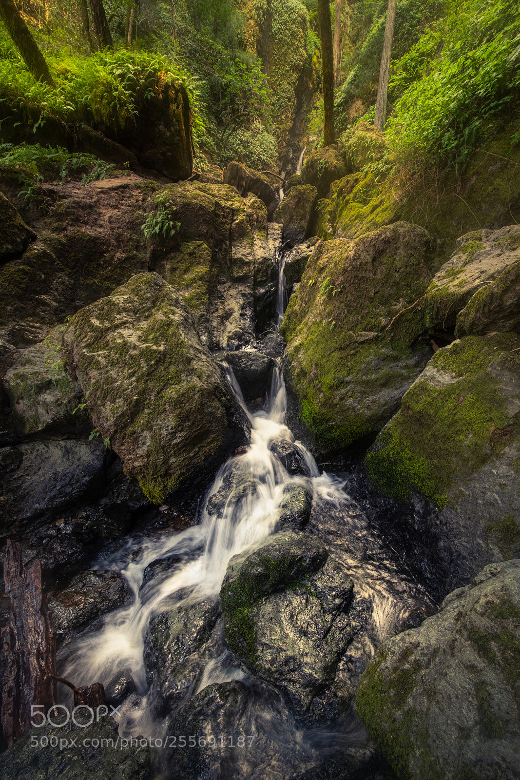 Nikon D850 sample photo. Cataract falls photography