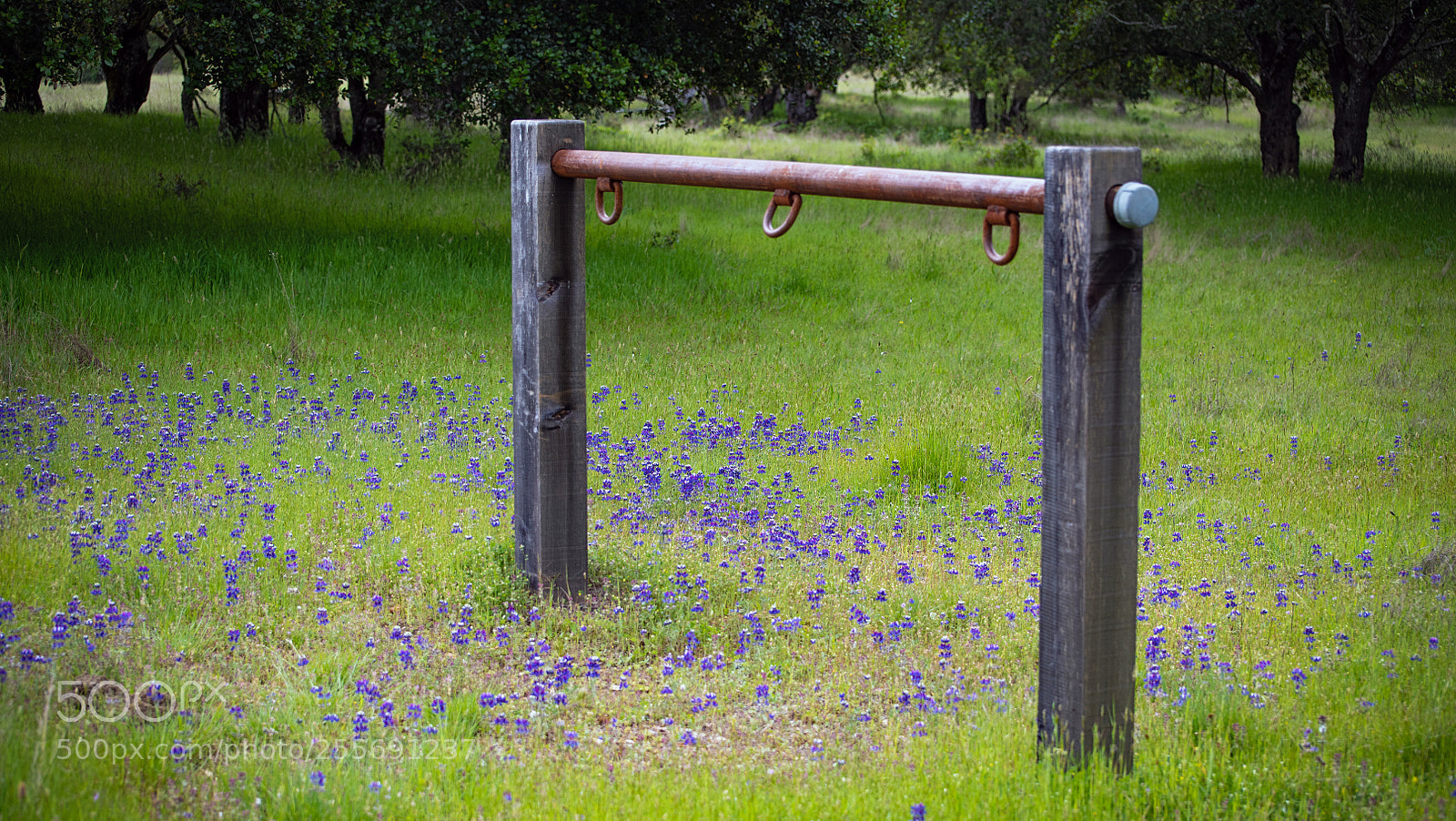 Nikon D850 sample photo. Hitching post photography