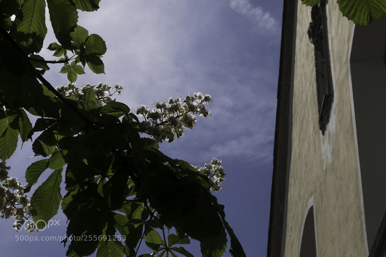 Fujifilm X-T1 sample photo. Embedded photography