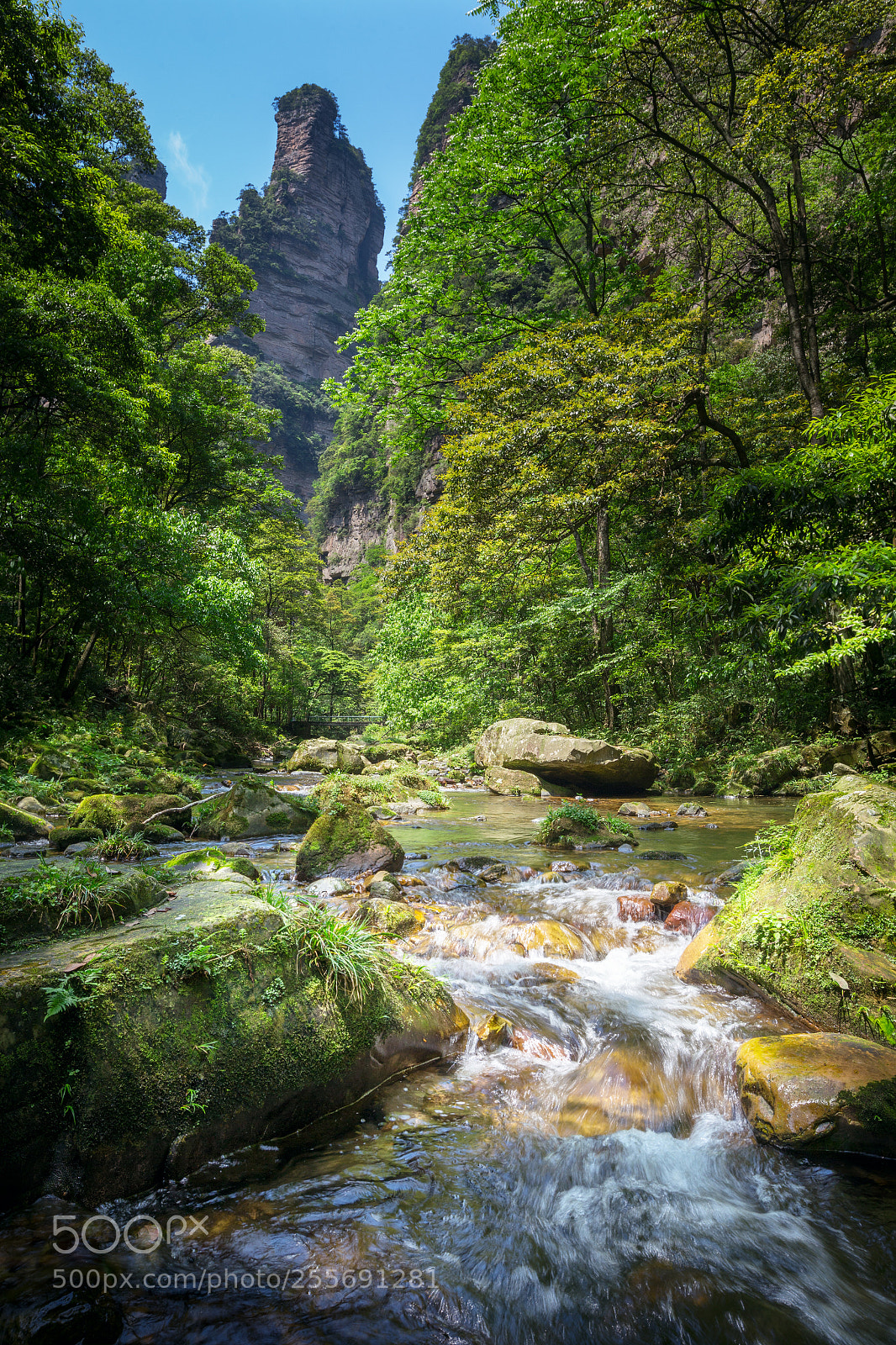 Canon EOS 6D sample photo. Golden whip brook photography