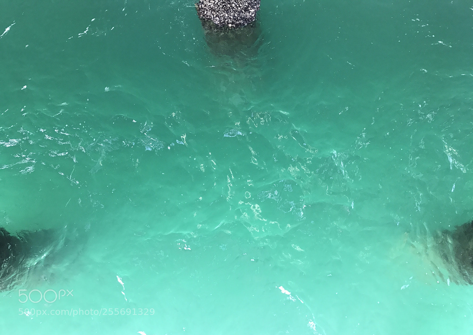Apple iPhone 7 sample photo. Water under the pier photography