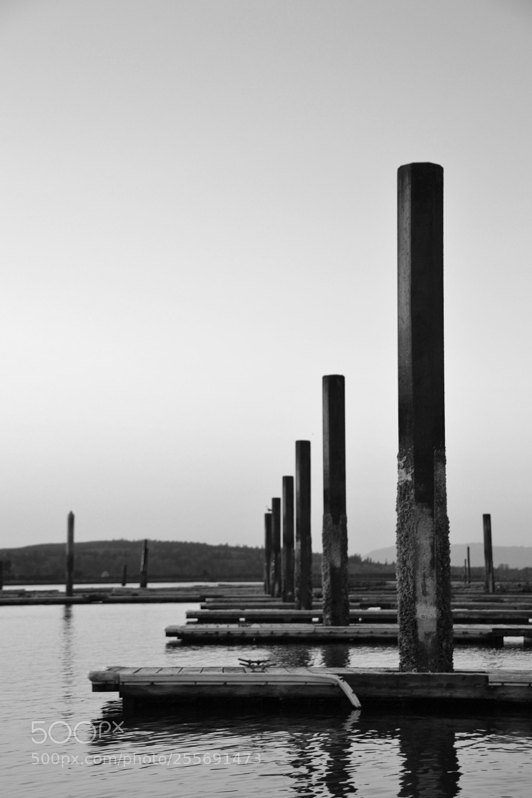 Nikon D3100 sample photo. Placid pier photography