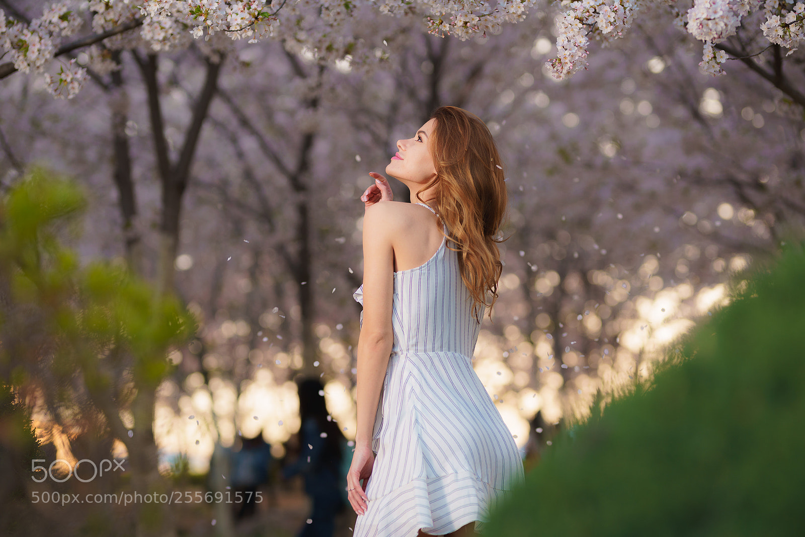 Sony a7R III sample photo. My friend julia photography