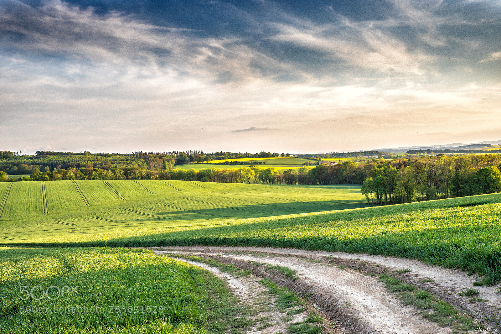 Canon EOS 6D Mark II sample photo. Widoczek photography