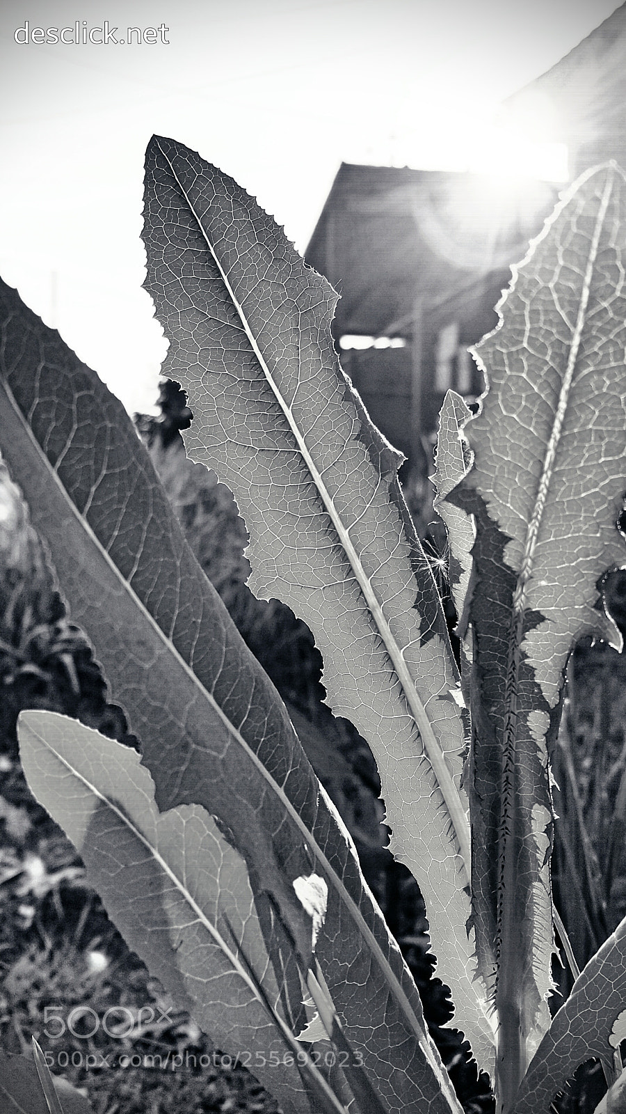 Samsung Galaxy Note4 sample photo. Just another roadside photography