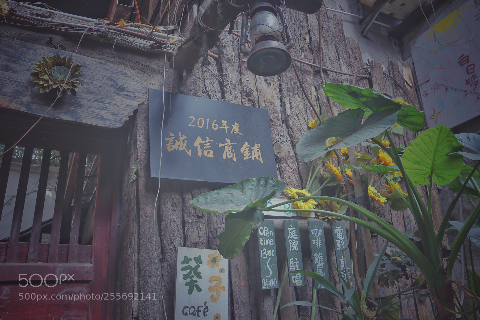 Canon EOS 80D sample photo. Untitled photography