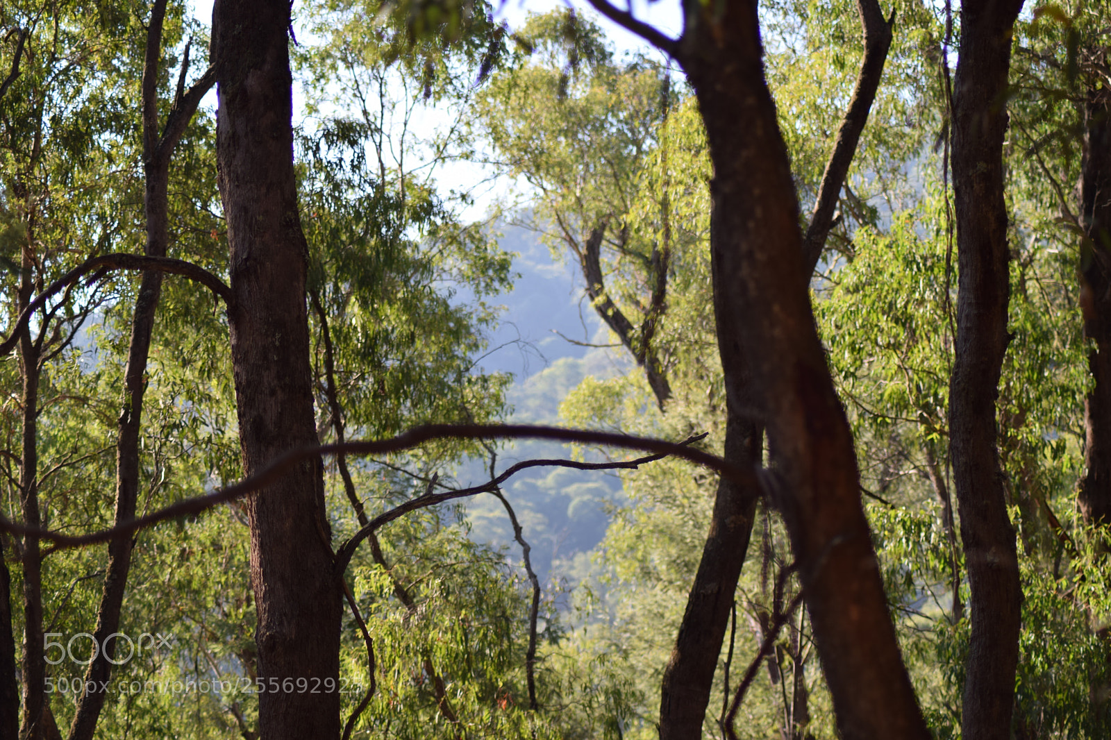Nikon D3300 sample photo. Untitled photography