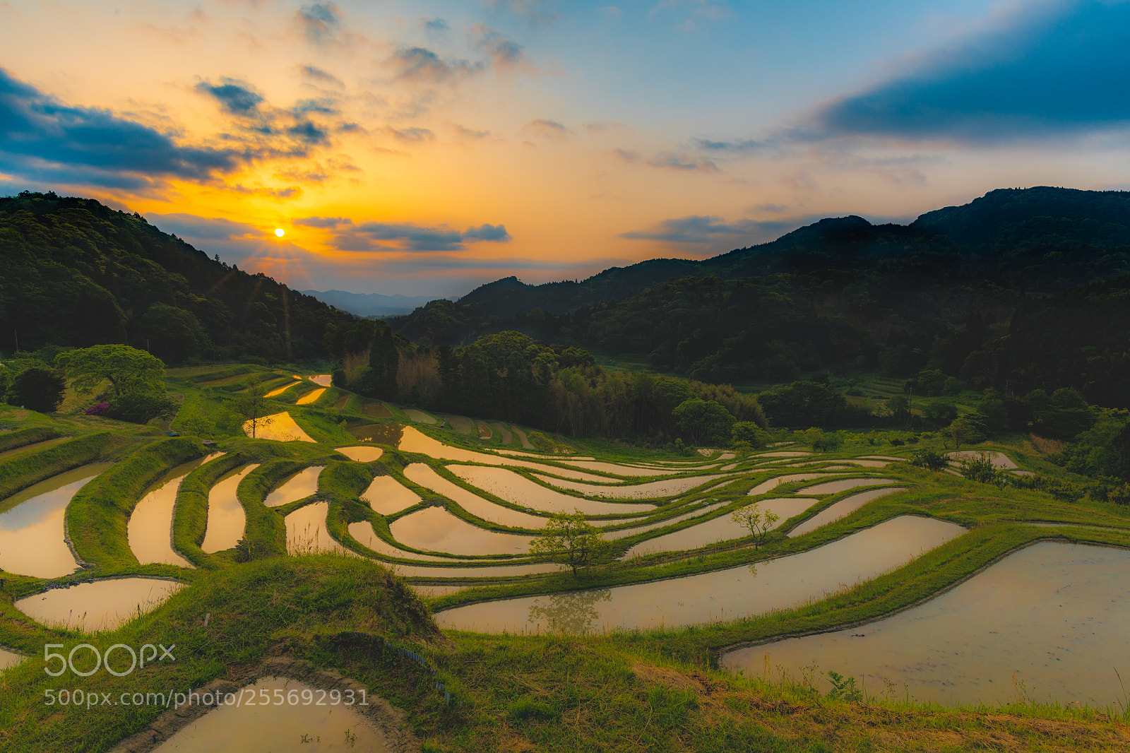 Nikon D850 sample photo. Oyamasenmaida sunrise photography