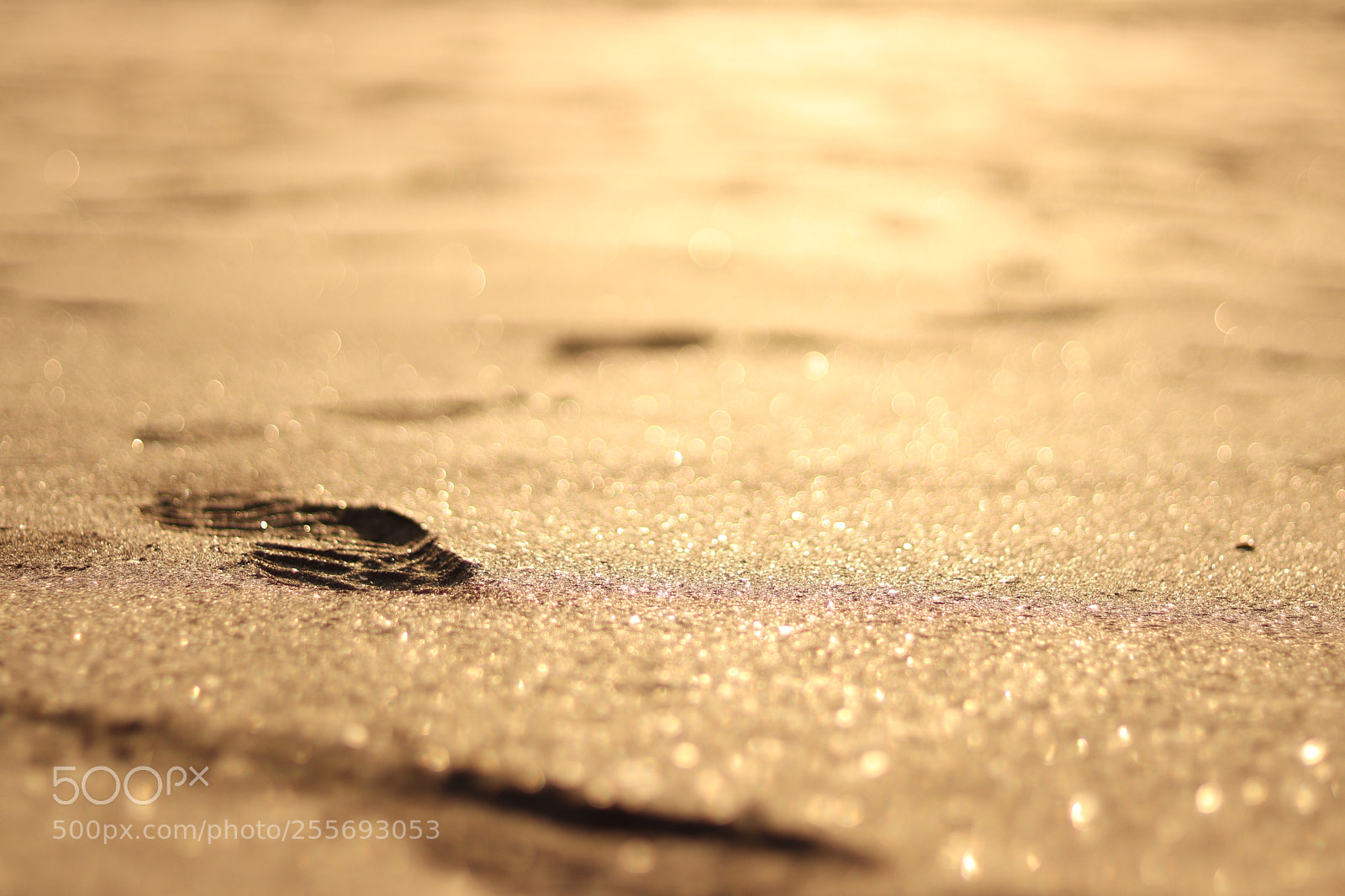 Canon EOS 200D (EOS Rebel SL2 / EOS Kiss X9) + Canon EF 50mm F1.8 STM sample photo. Lonely footsteps photography