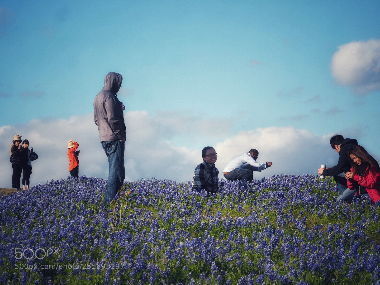 Olympus OM-D E-M10 sample photo. Posing in bluebonnets  photography