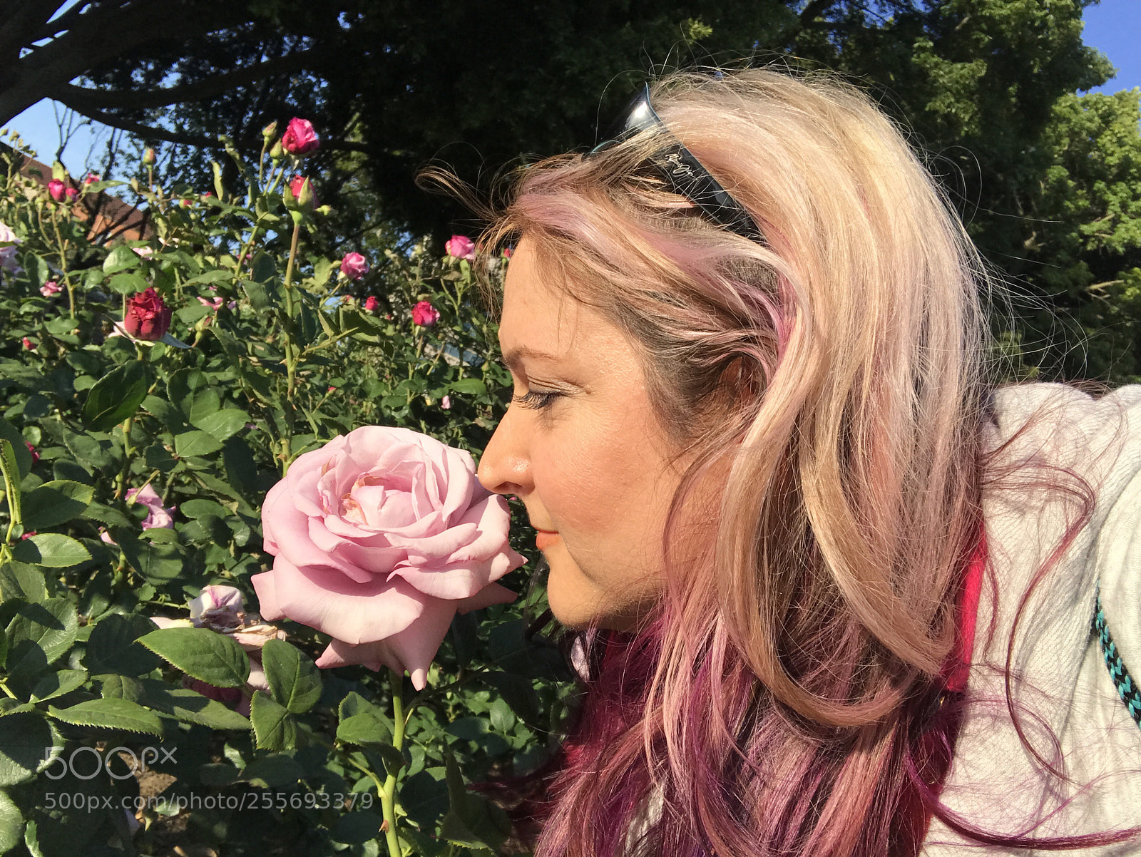 Apple iPhone 7 sample photo. Smelling the roses photography