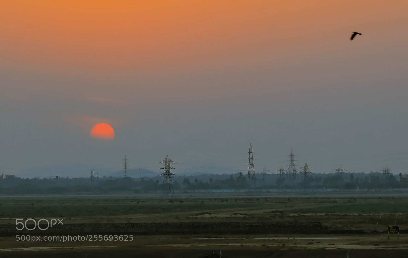 Canon EOS 5D Mark IV sample photo. Ecr evening’s photography