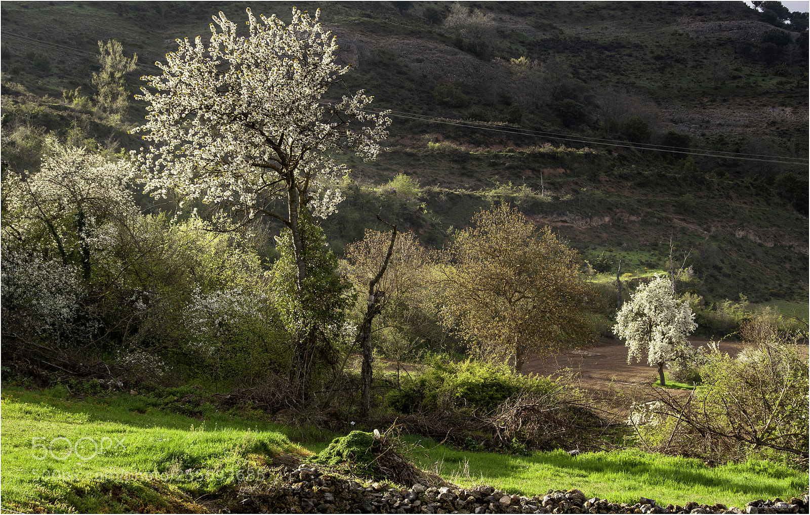 Nikon D300 sample photo. Con optimismo photography