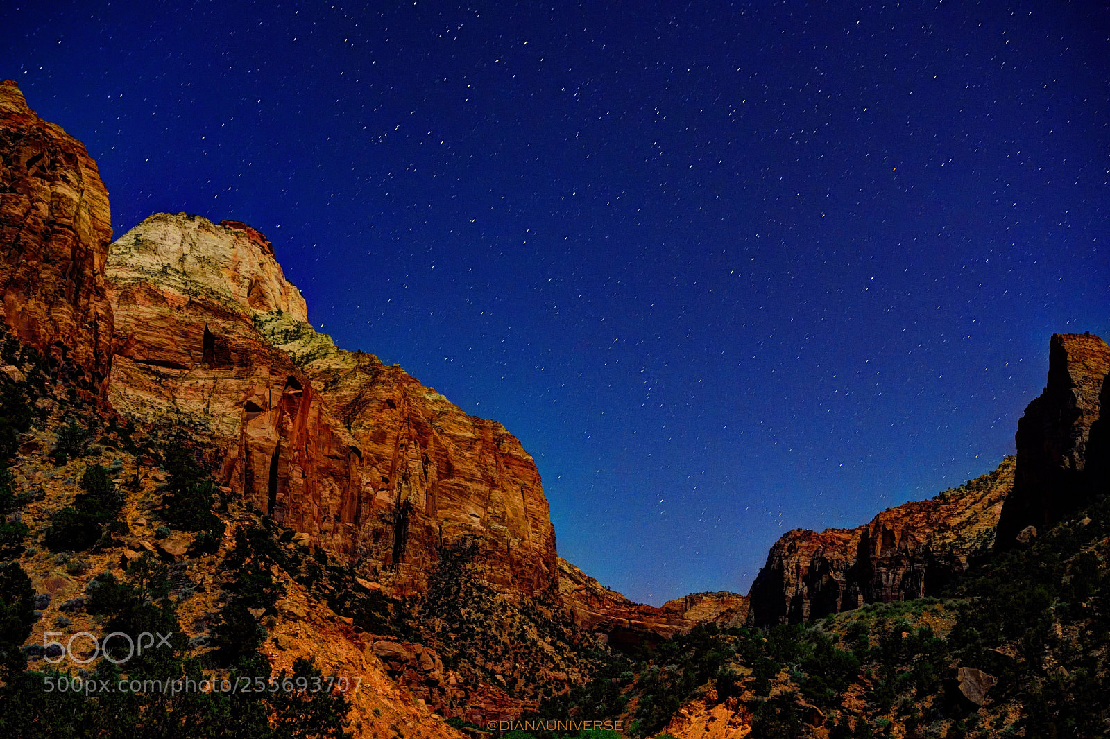 Nikon D7200 sample photo. Starry blue photography