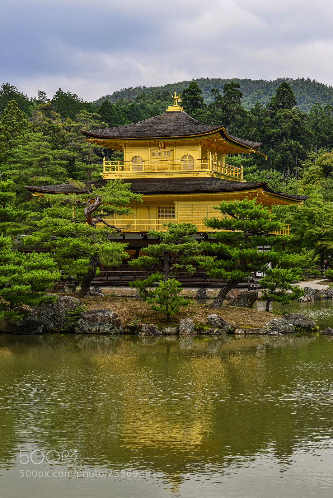 Nikon D800 sample photo. Kinkaku-ji (golden pavilion temple) 金閣寺 photography