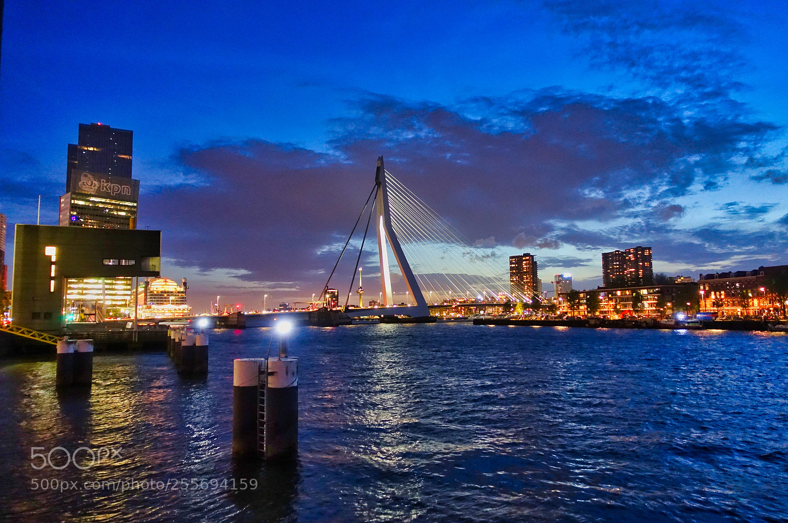 Sony Cyber-shot DSC-RX100 III sample photo. Rotterdam erasmus bridge photography