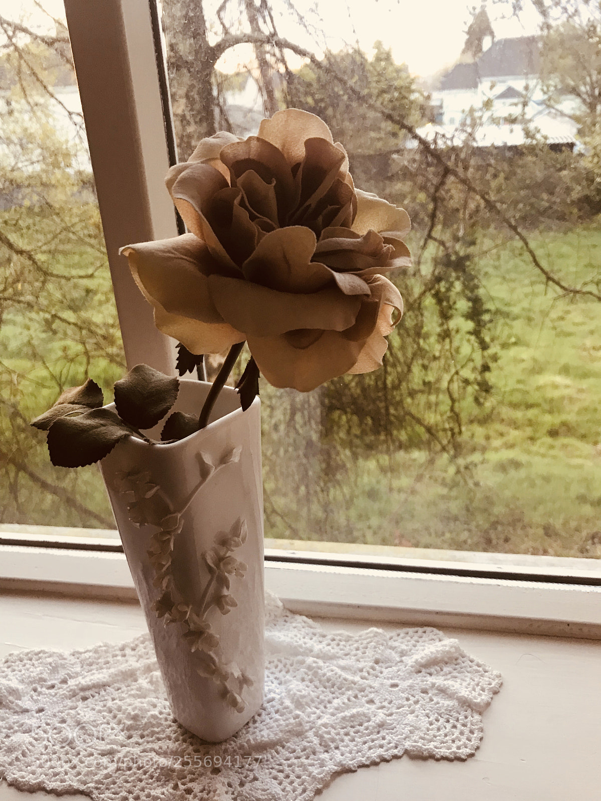 Apple iPhone 7 sample photo. Window vase photography