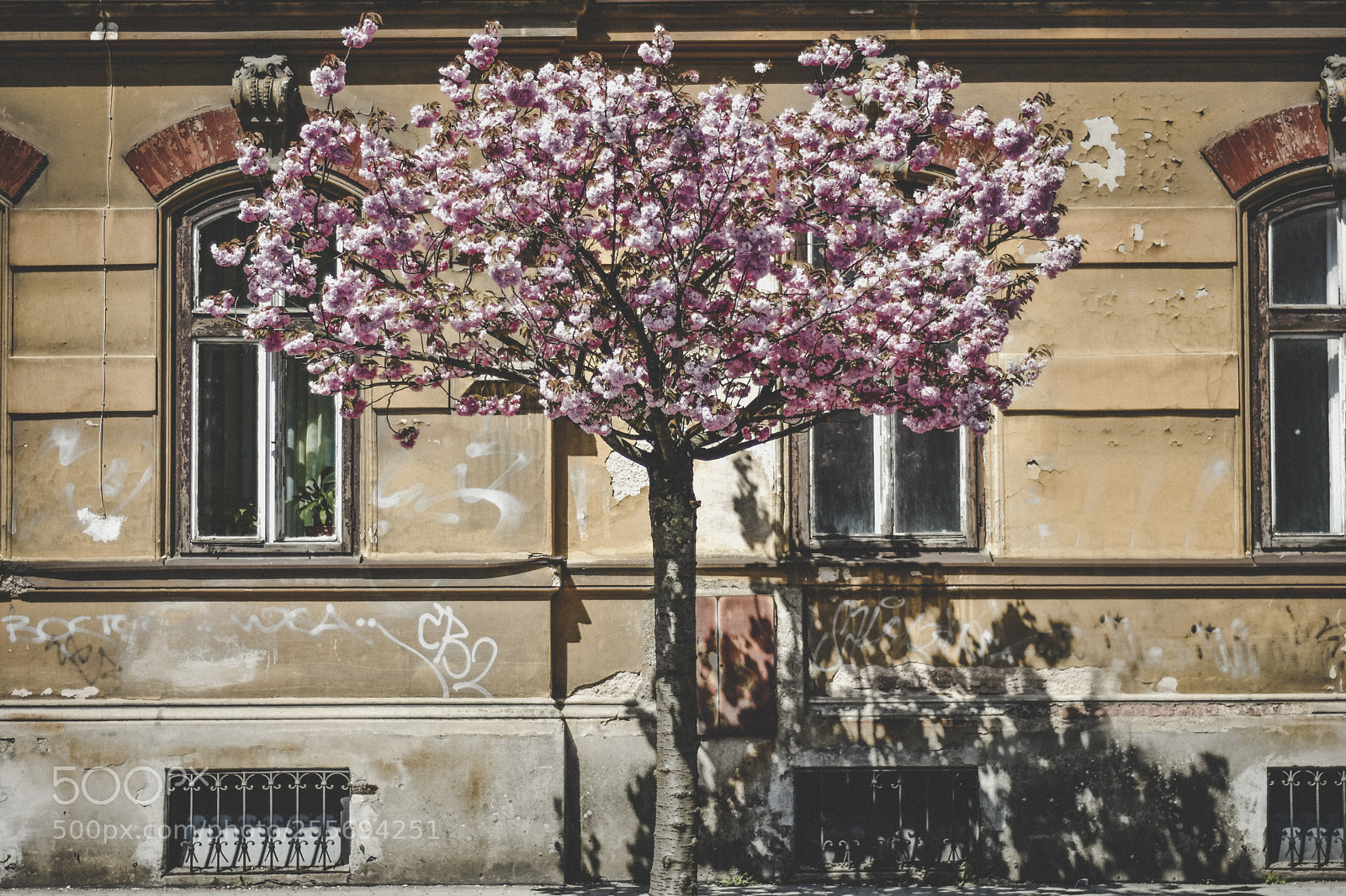 Nikon D7200 sample photo. Summer power photography