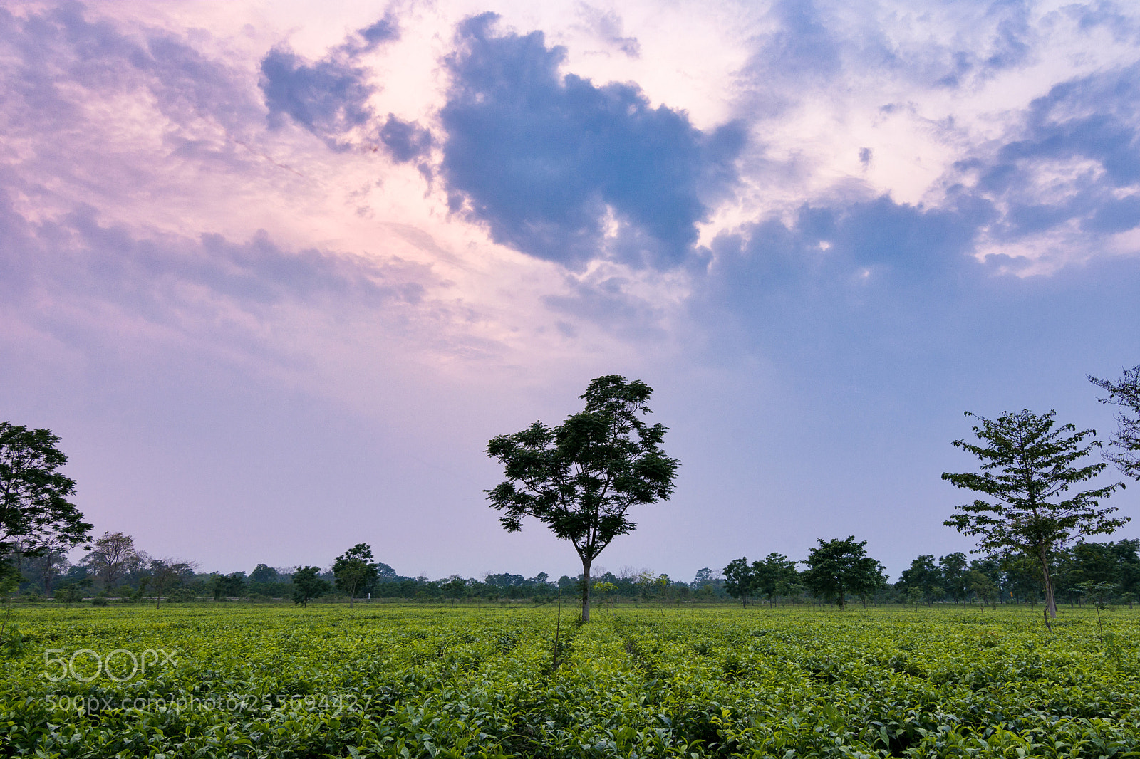 Nikon D7200 sample photo. Colorful india photography