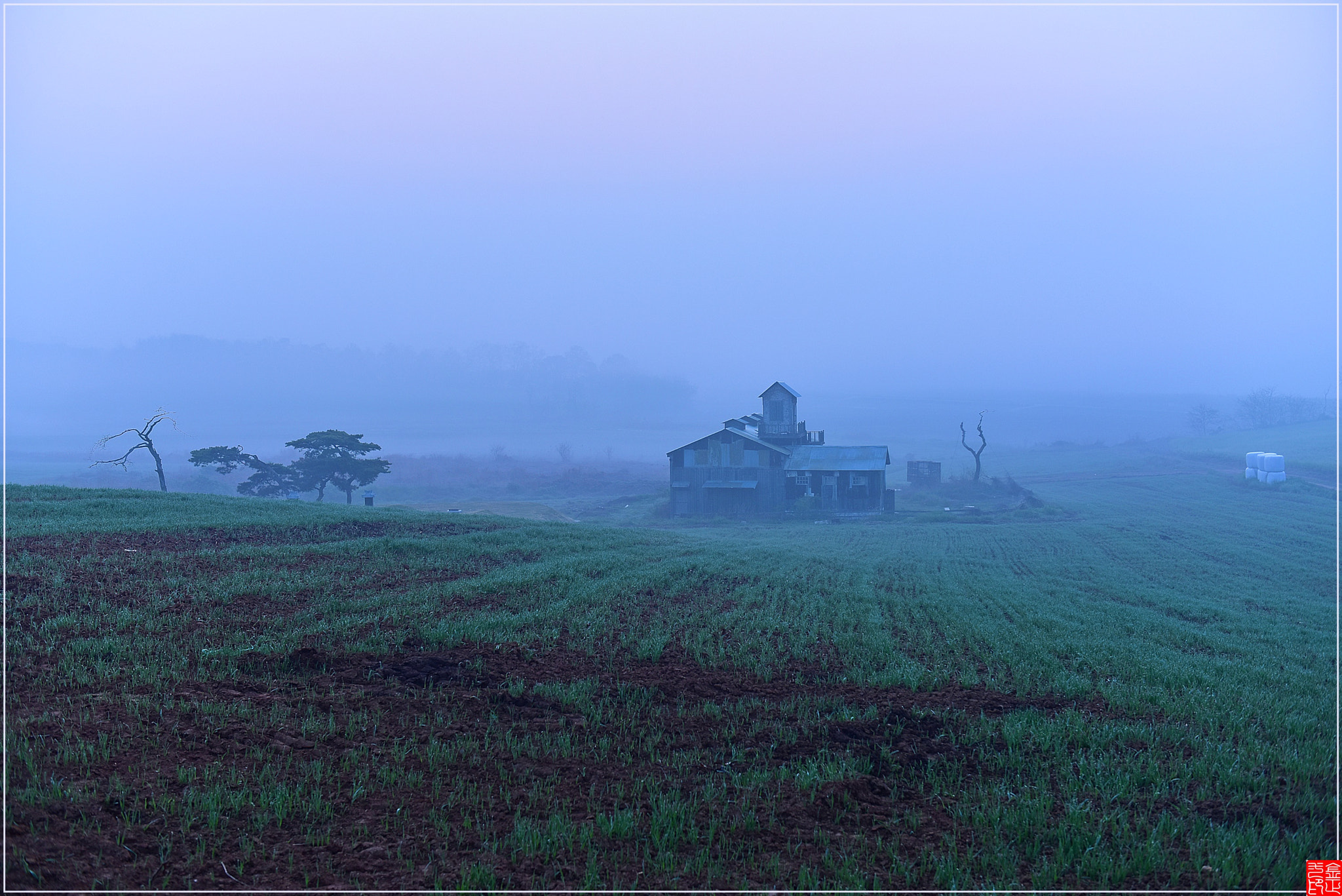 Nikon AF-S Nikkor 24-70mm F2.8G ED sample photo. Fog photography