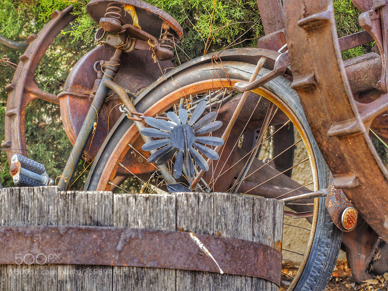 Olympus OM-D E-M10 II sample photo. Afternoon in manitou springs photography