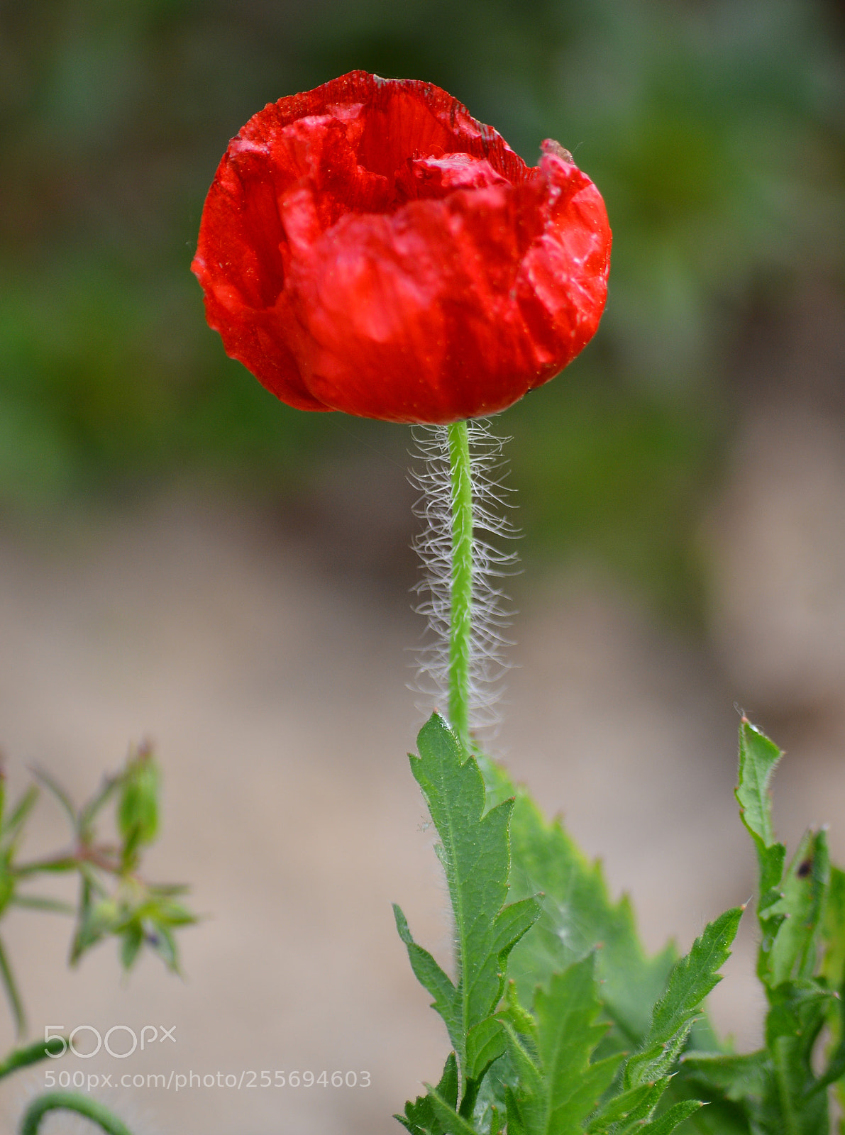 Nikon D3200 sample photo. Untitled photography