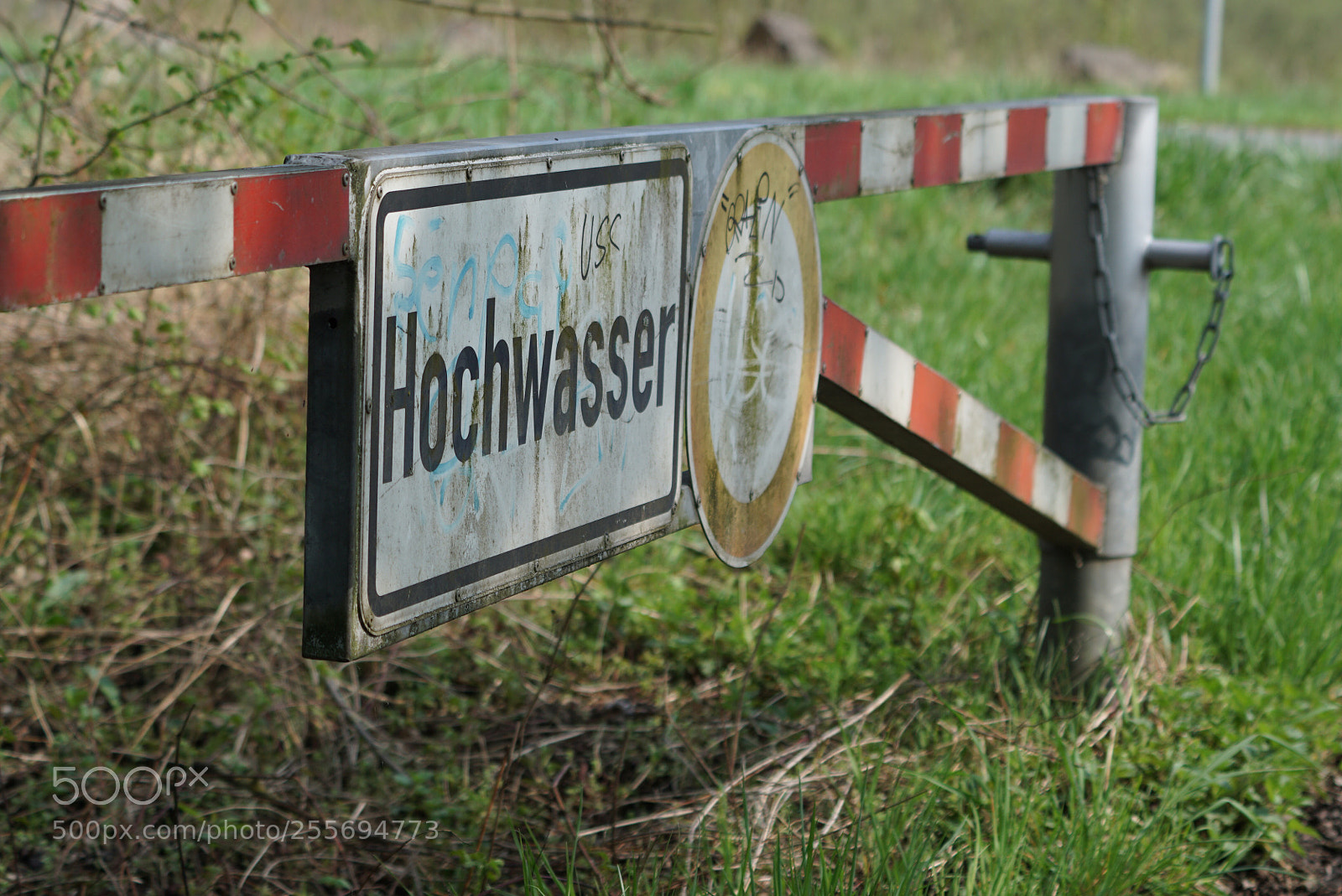 Sony a6000 sample photo. Hochwasser  photography