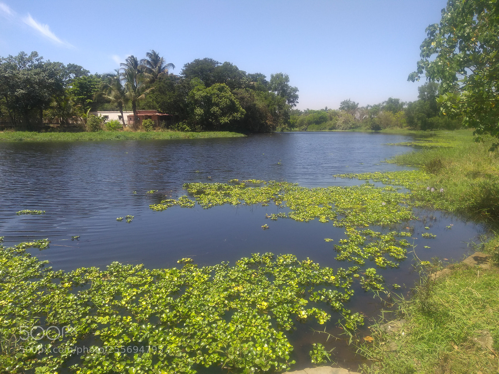 Motorola Moto G (5S) Plus sample photo. Untitled photography