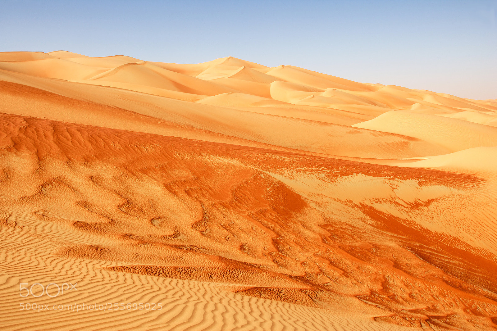 Canon EOS-1Ds Mark II sample photo. Empty quarter dunes photography