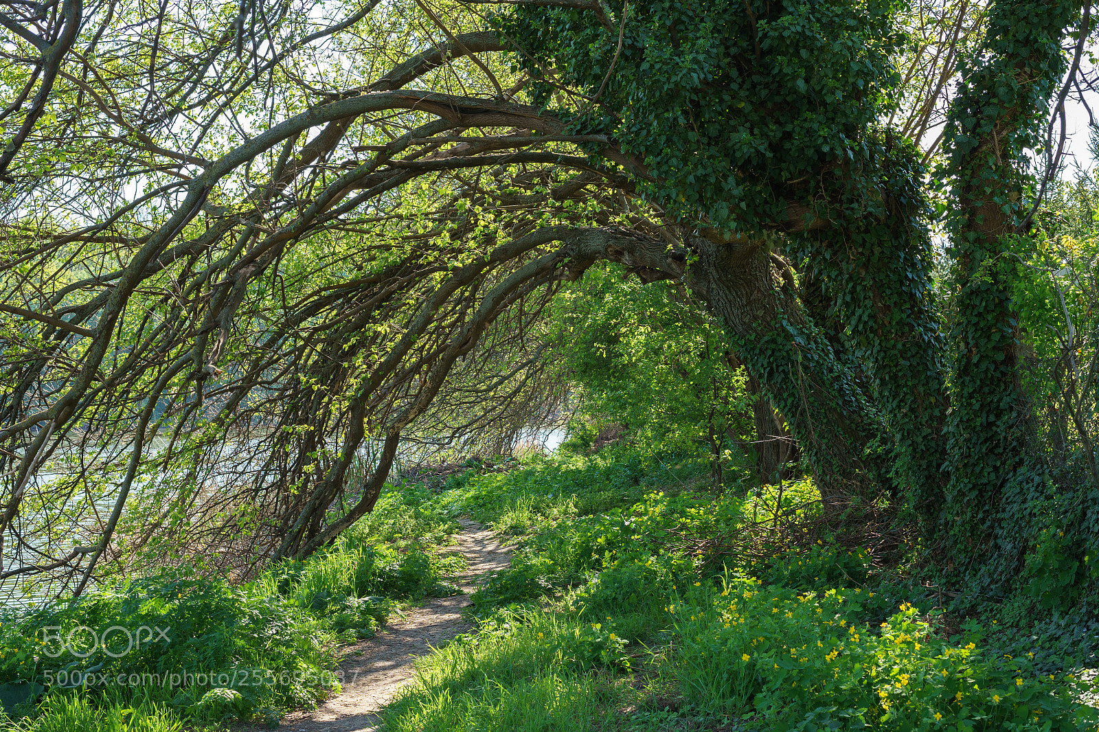 Sony a7 II sample photo. Dsc photography
