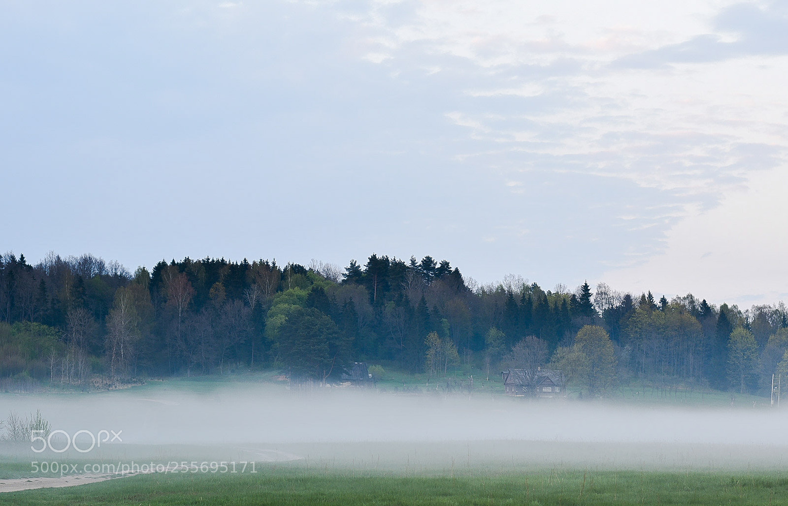 Nikon D5600 sample photo. Fog photography
