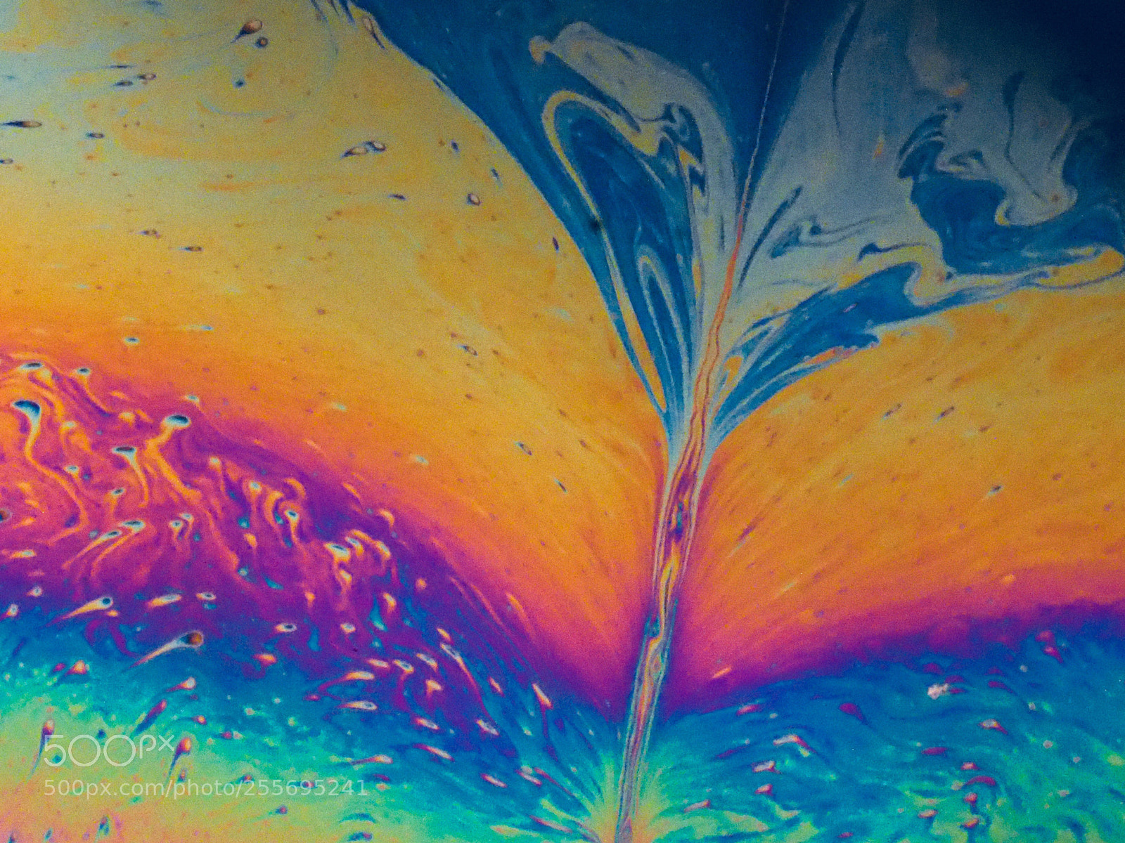 Olympus OM-D E-M1 sample photo. Speared..soapfilm photography photography
