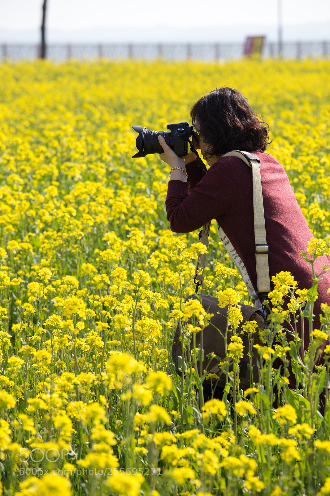 Canon EOS 6D sample photo. Female photographer in rapeseed photography