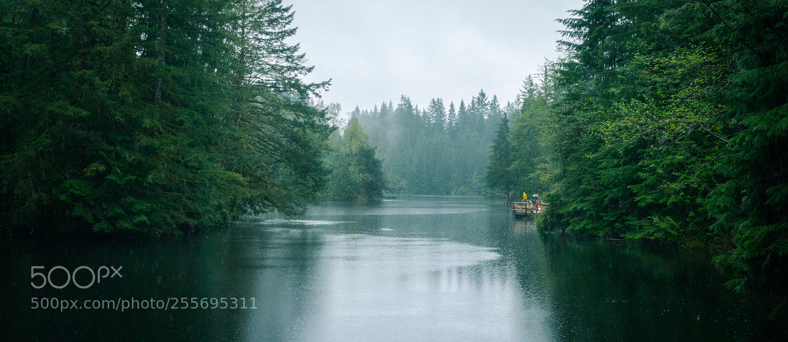 Sony a6500 sample photo. Rain by the lake photography
