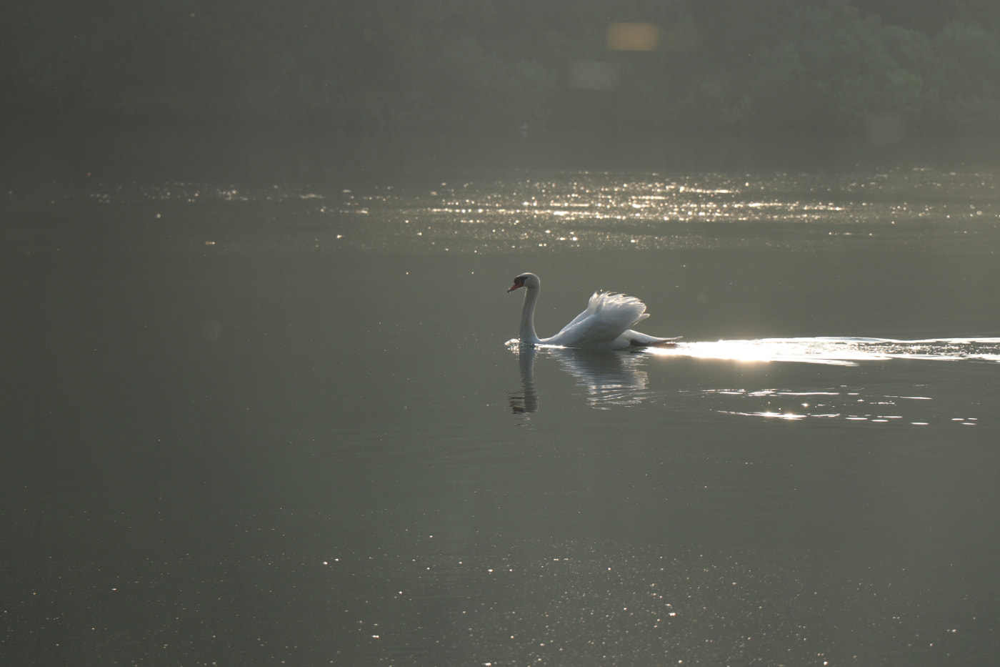 Canon EOS 77D (EOS 9000D / EOS 770D) sample photo. Floating dreams photography