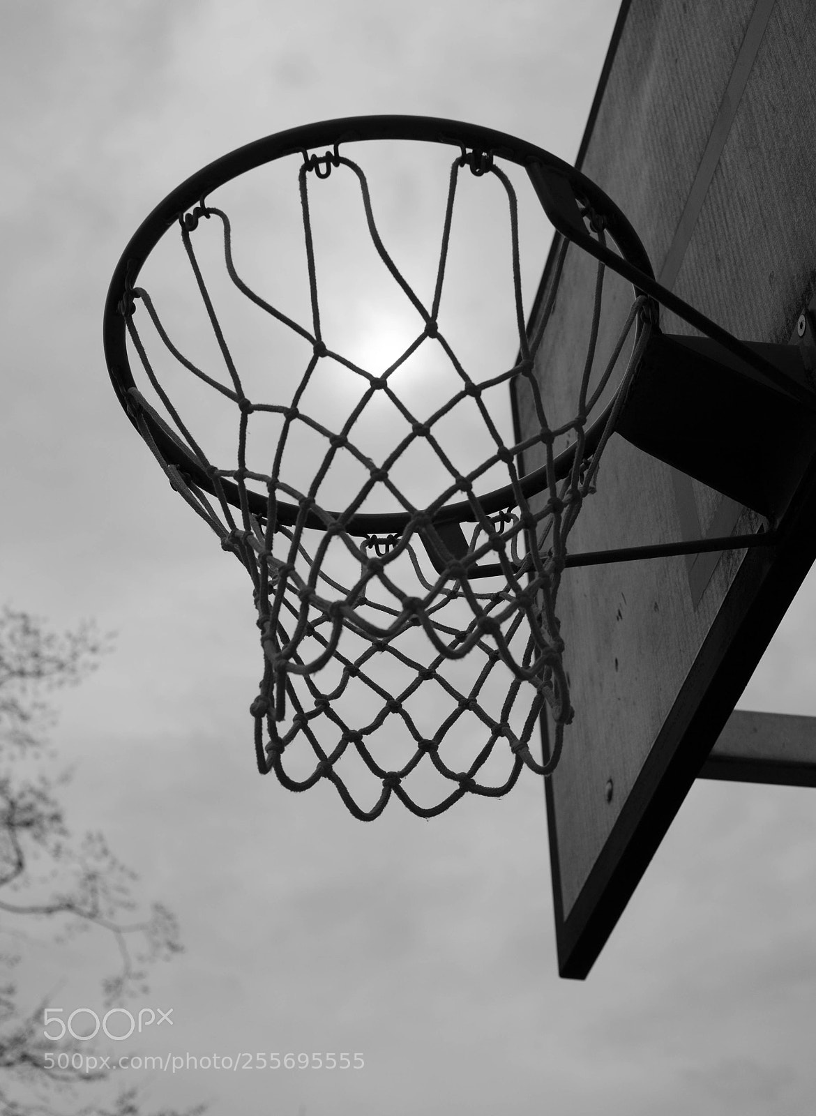 Fujifilm X100T sample photo. Basketsun photography