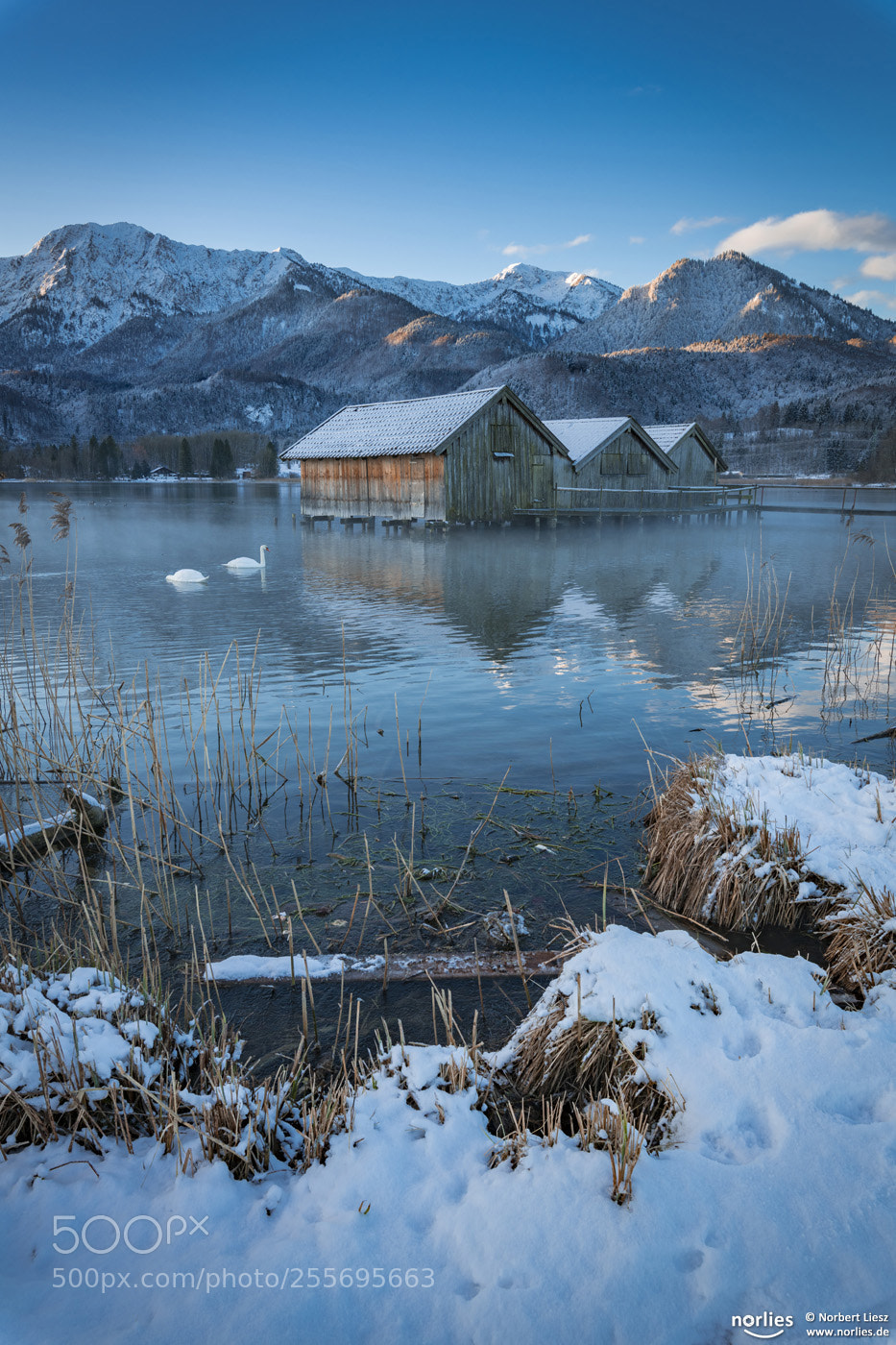 Nikon D850 sample photo. Romantic kochelsee photography