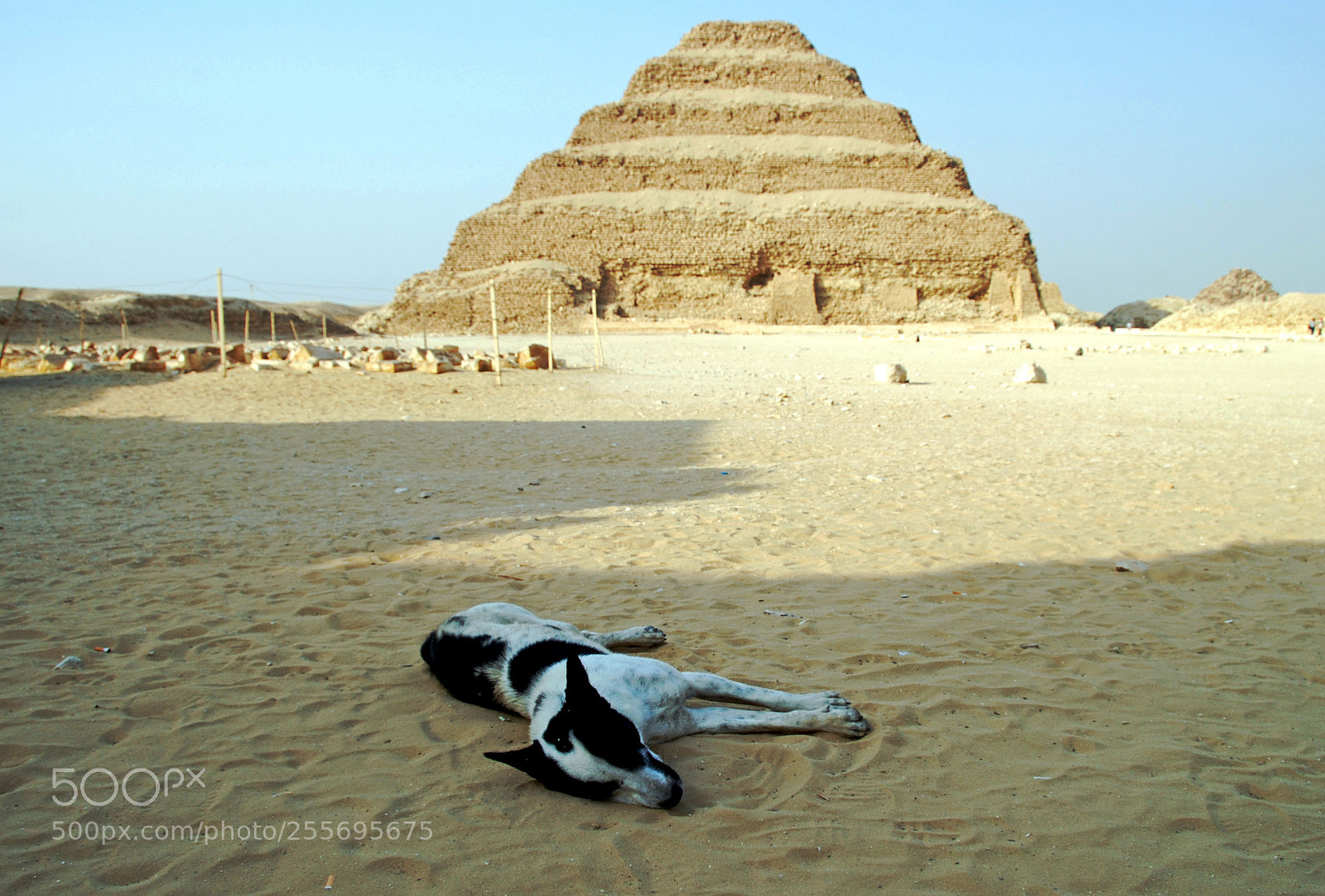 Nikon D80 sample photo. Pyramid of djoser. saqqara. photography