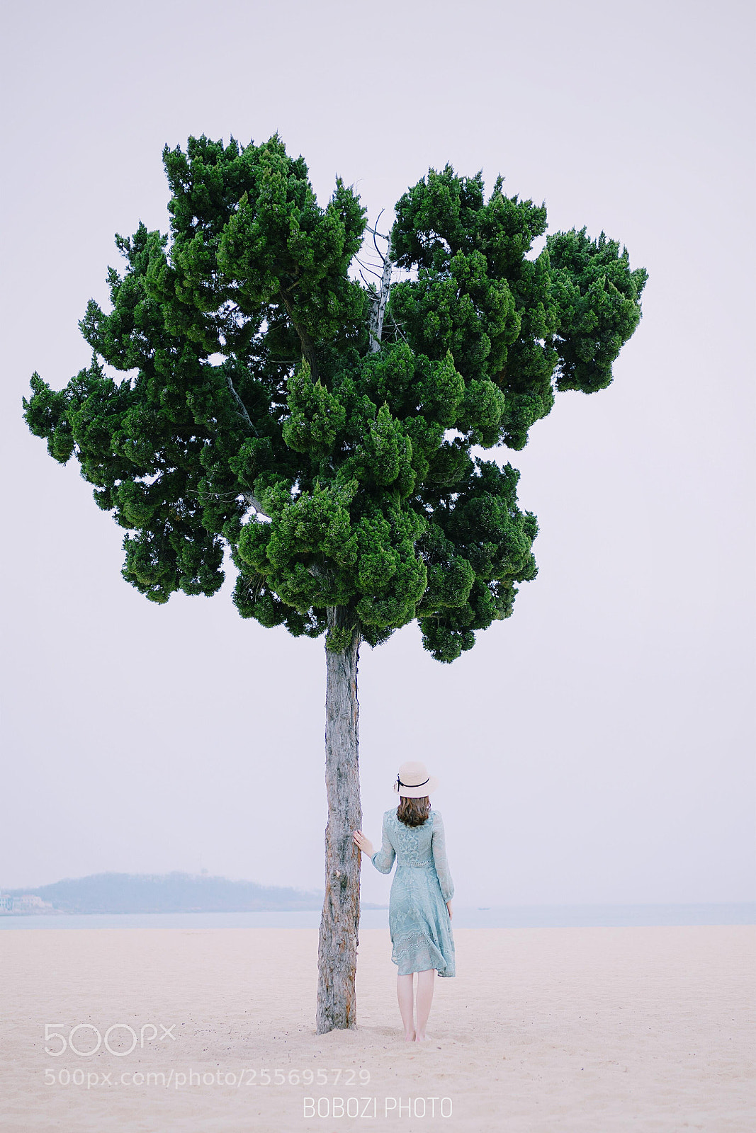 Canon EOS 6D sample photo. Tree photography