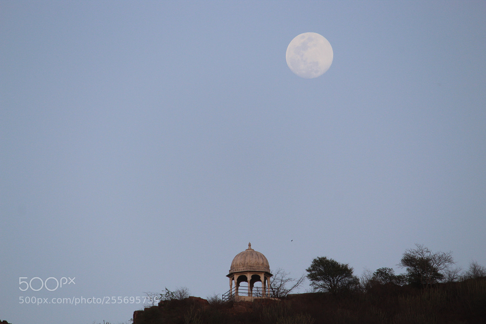 Canon EF-S 55-250mm F4-5.6 IS II sample photo. Untitled photography