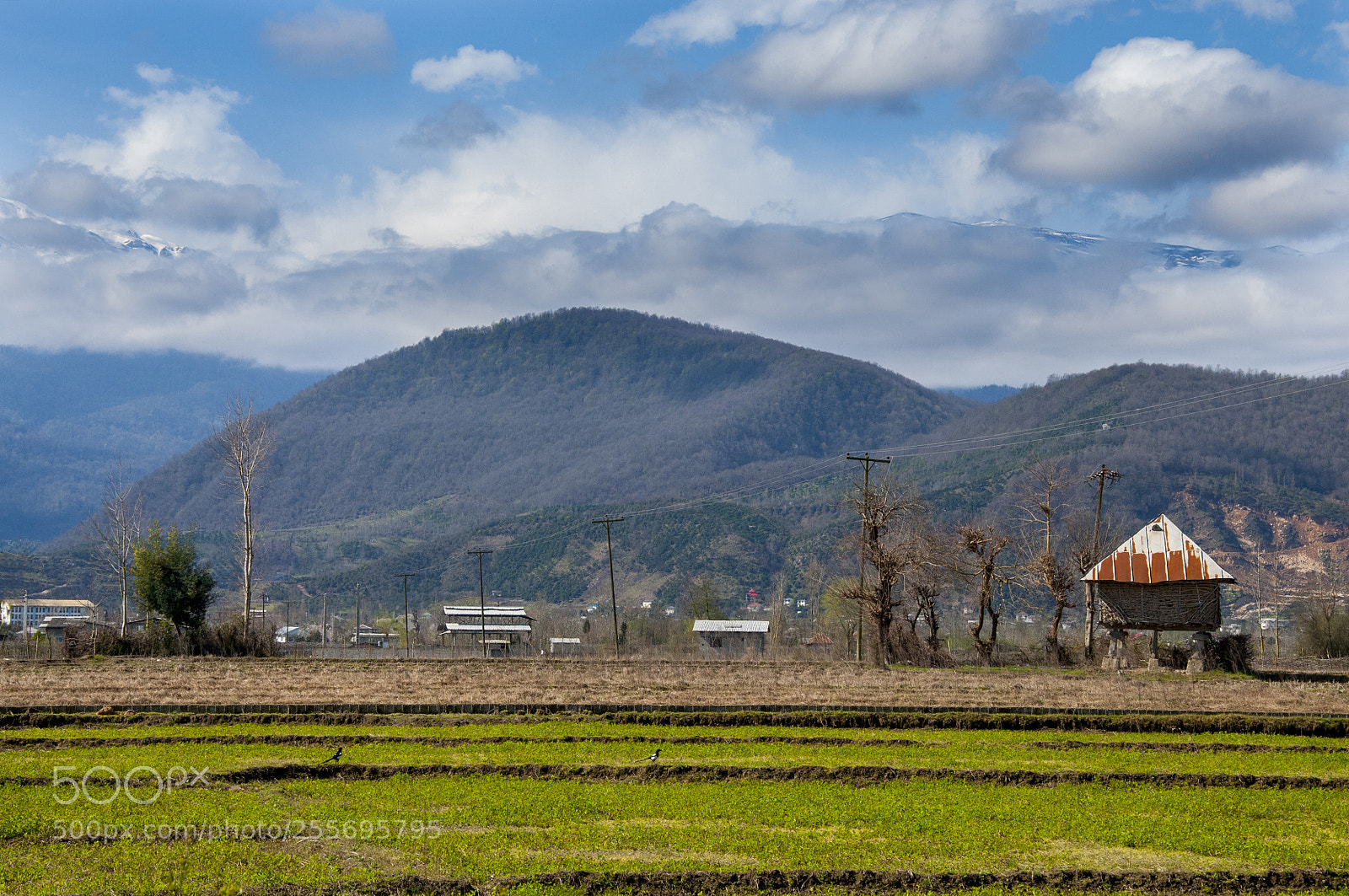 Nikon D90 sample photo. Shomal photography