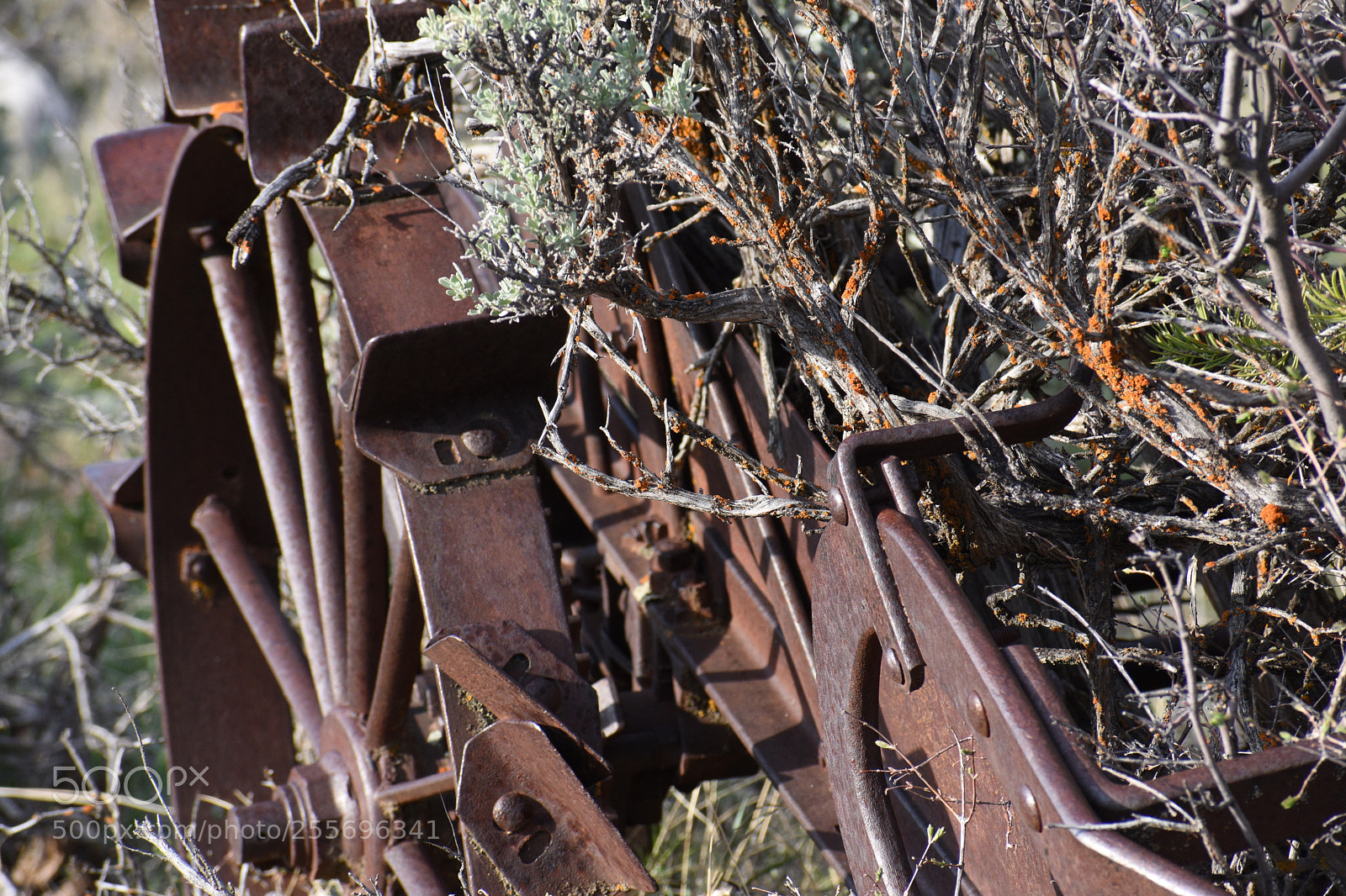 Nikon D3400 sample photo. Decay photography