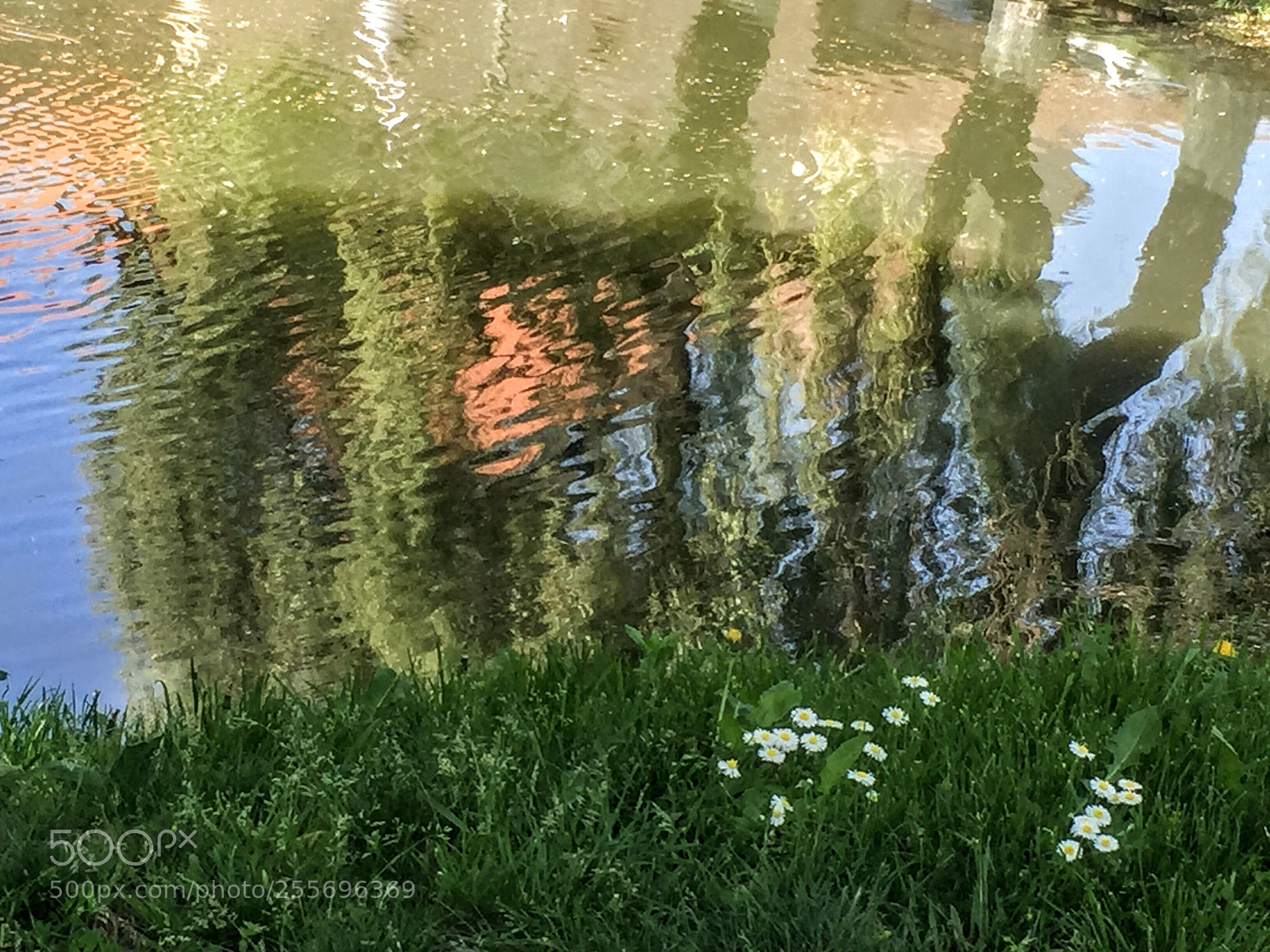 Apple iPhone 6 sample photo. Untitled photography
