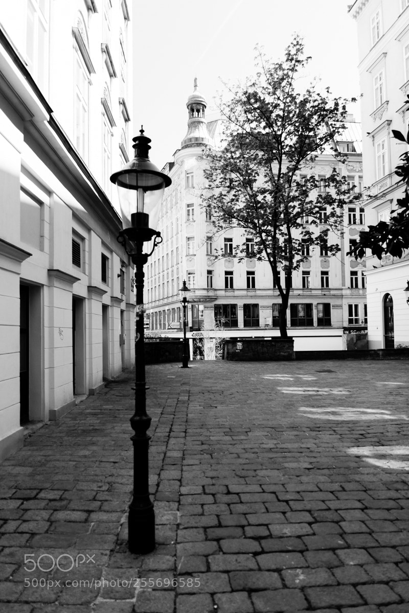 Canon EOS 7D sample photo. Vienna impresion photography